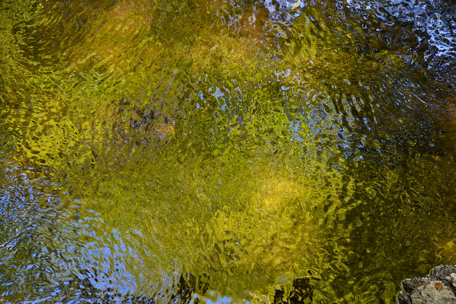 Early Autumn Stream