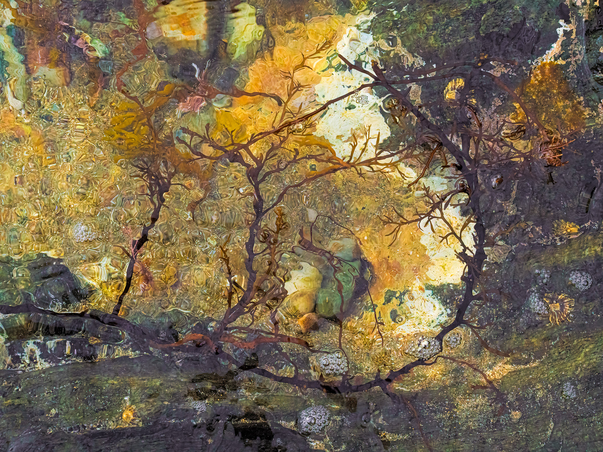 Poseidon S Playground