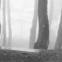 19.06.23 Artists 47551 Thumbnails Thumbnail 1672018165611826 29.forest Bench