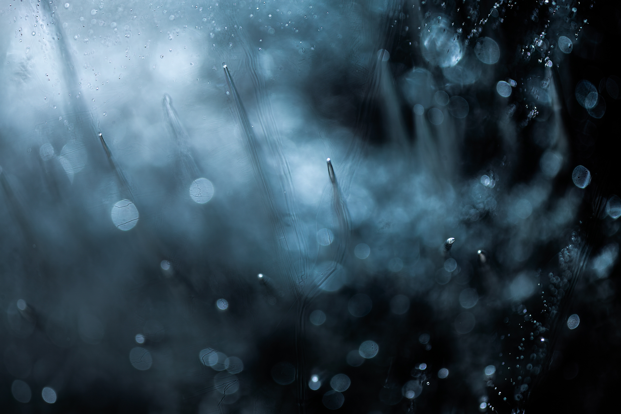 Justin Pumfrey Gps36