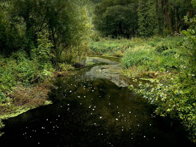 Chalk Streams 10