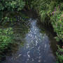 Chalk Streams 12