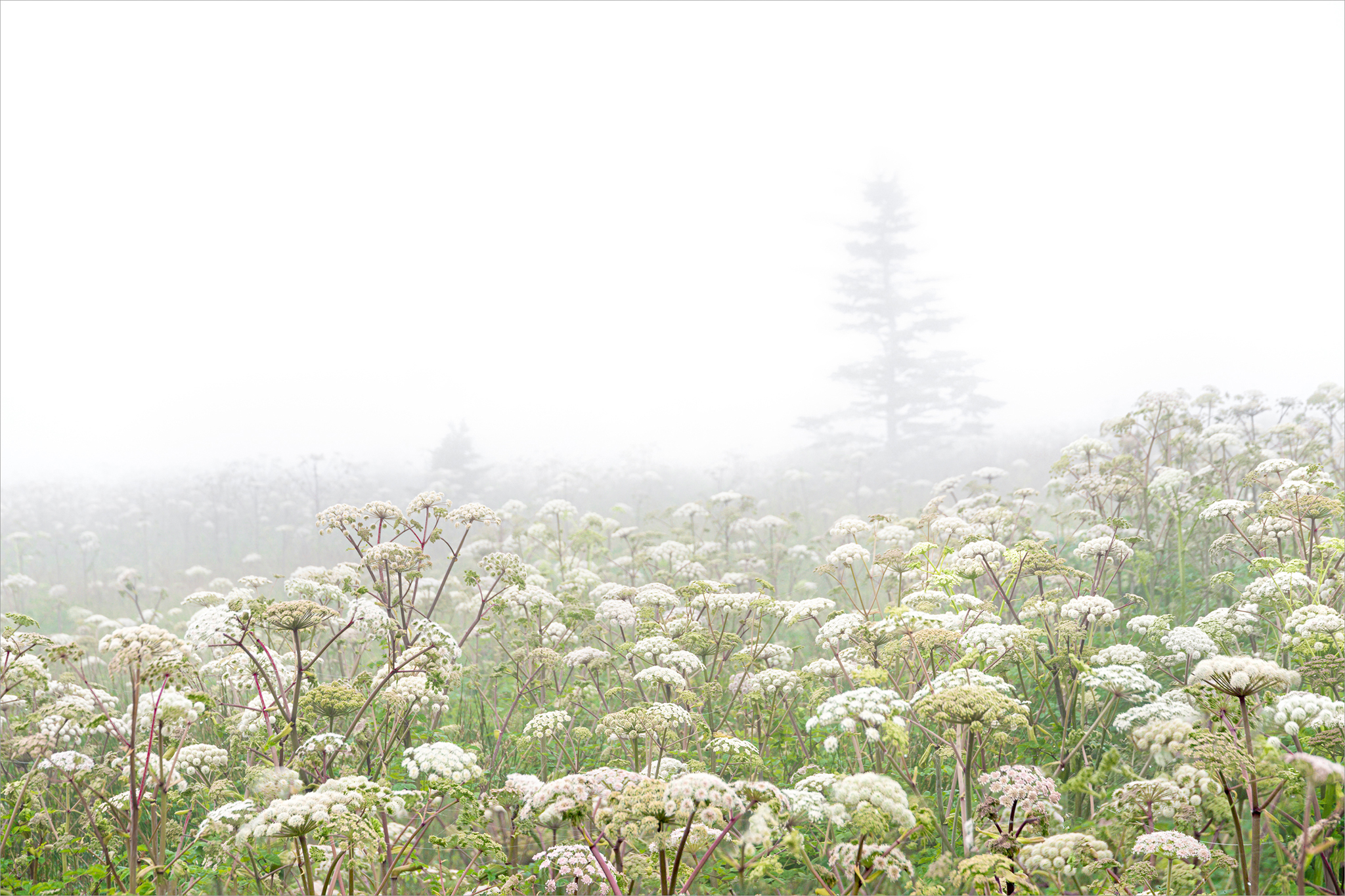 Kas Stone Uninteresting Places (kbg29245)