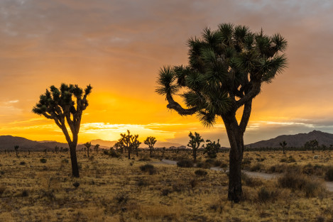 Sunset At Queen Valley Road