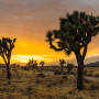 Sunset At Queen Valley Road