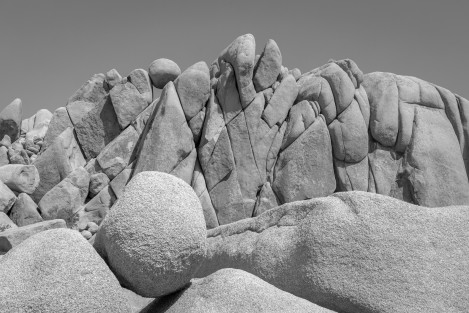 20200920 Joshua Tree Jnp 2621