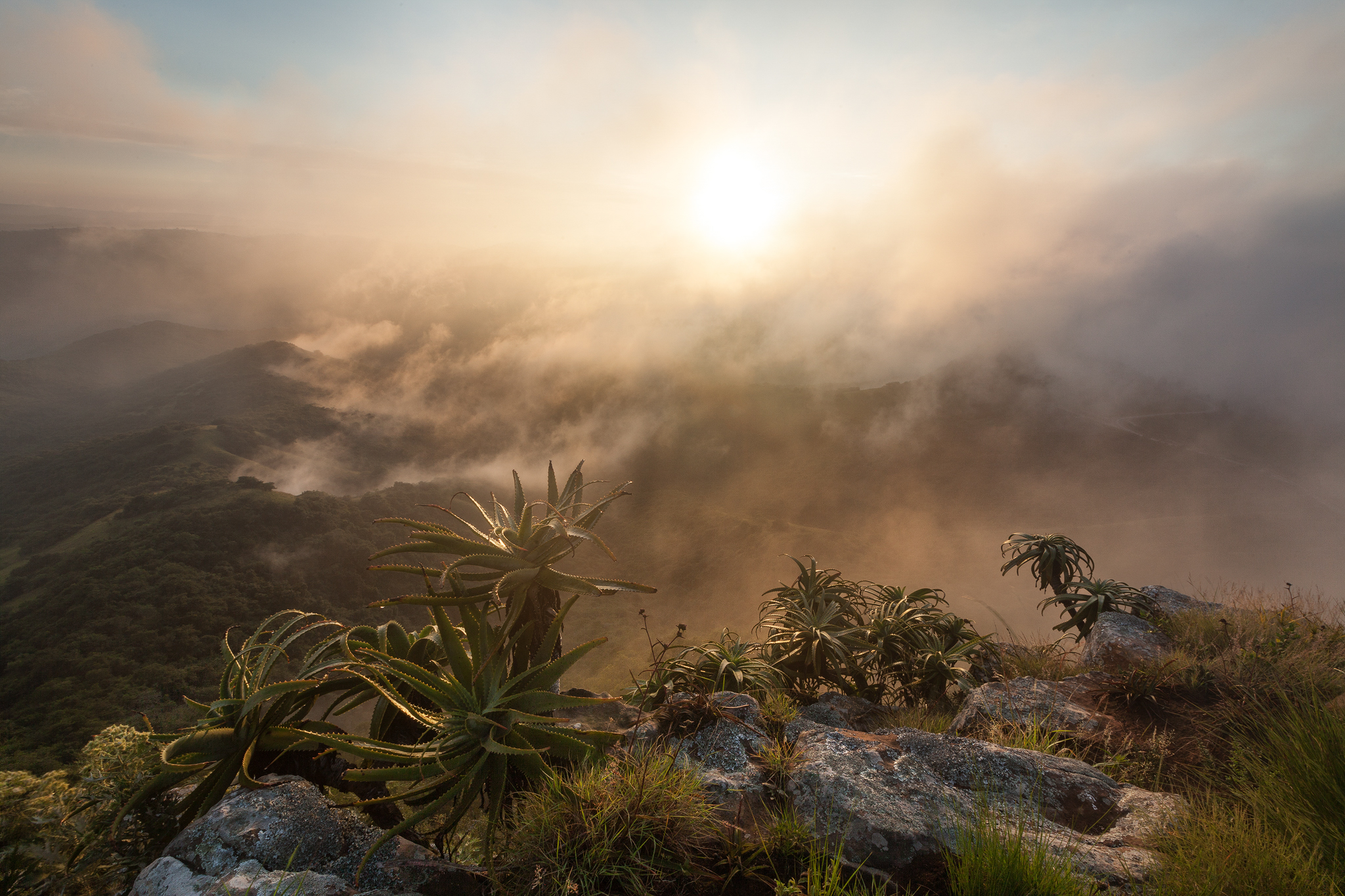 Valley Of A Thousand Hills