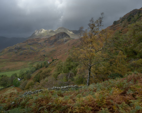 The Langdales