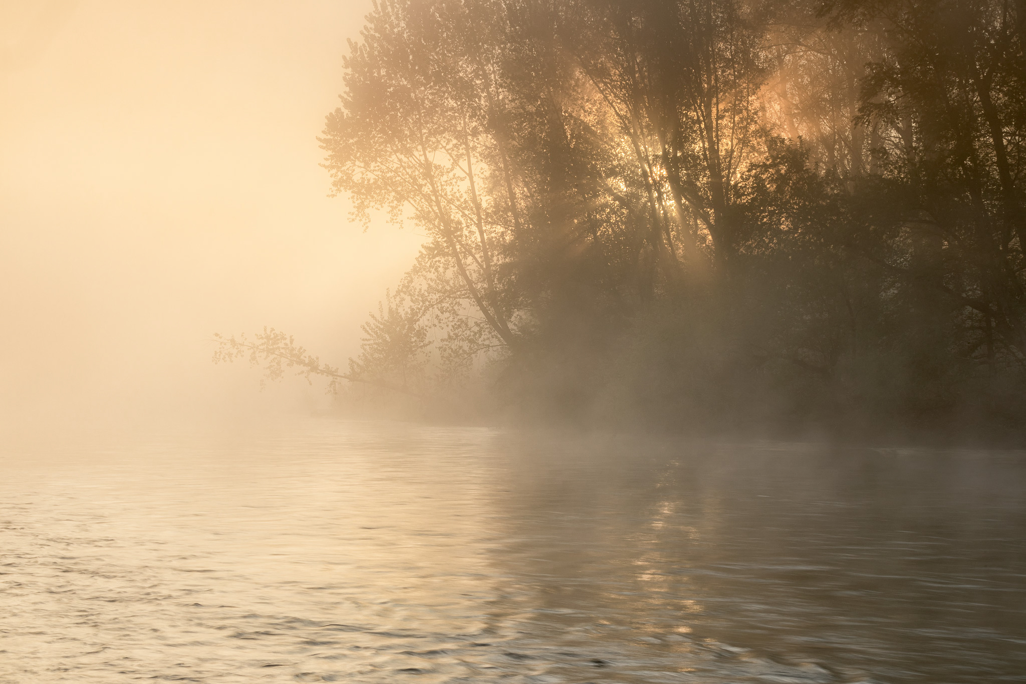 Riverscape Awakening Kristel Schneider