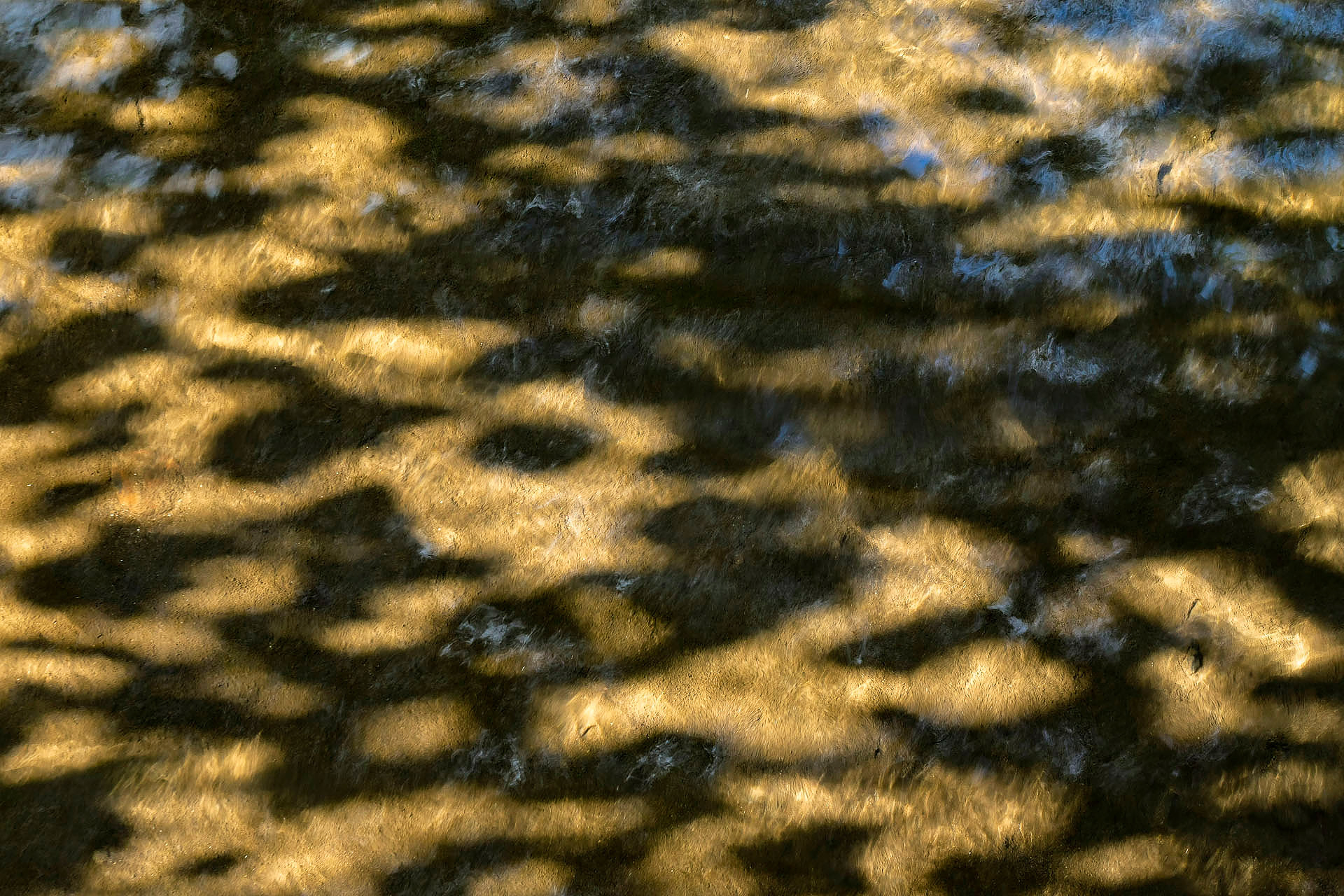 Riverscape Reflection Kristel Schneider