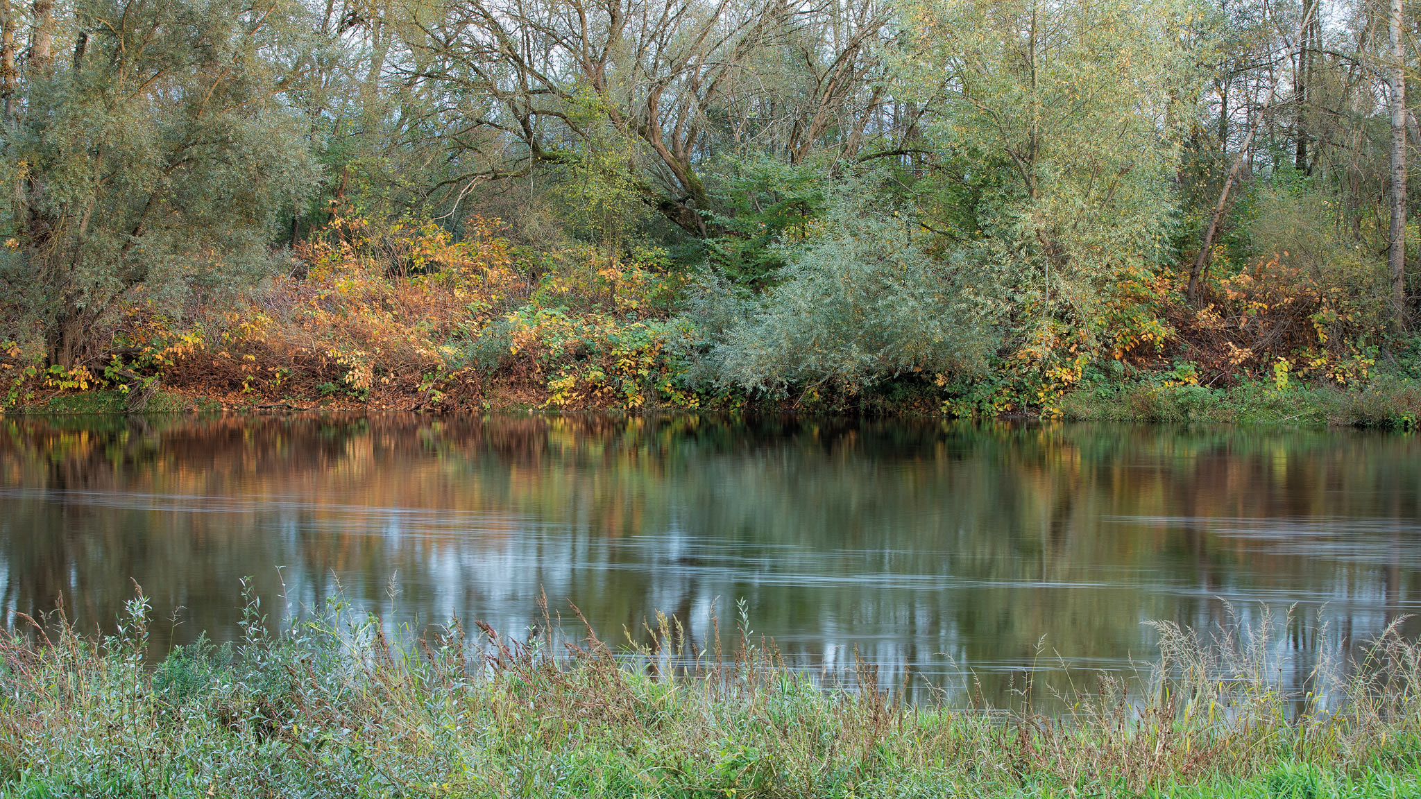 Riverscape Riverbank Kristel Schneider