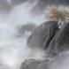 Rock, Tree And Waterfall 2016