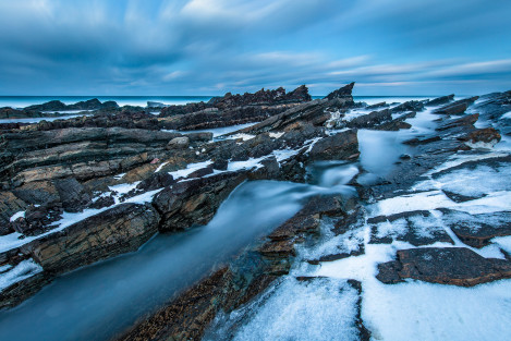 Varanger Bosboom 001