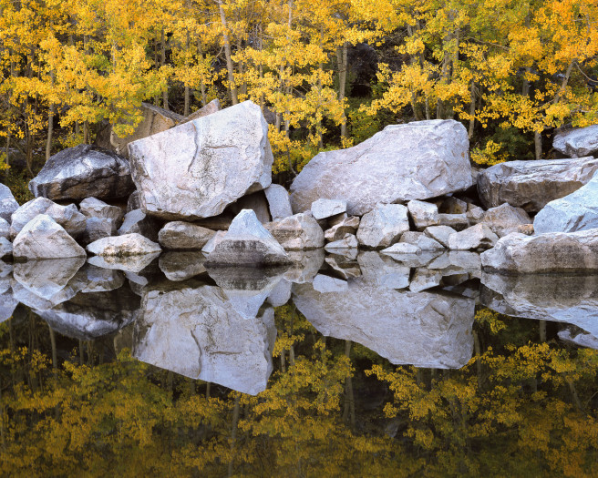 Easternsierrapond