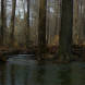 Flood Debris Jam On The North Fork