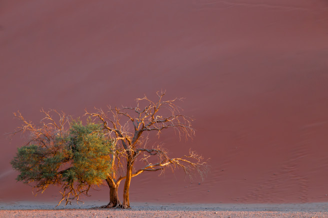 Sossusvlei Judy Cochand 4