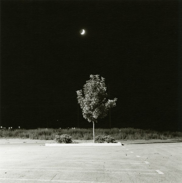 Robertadams