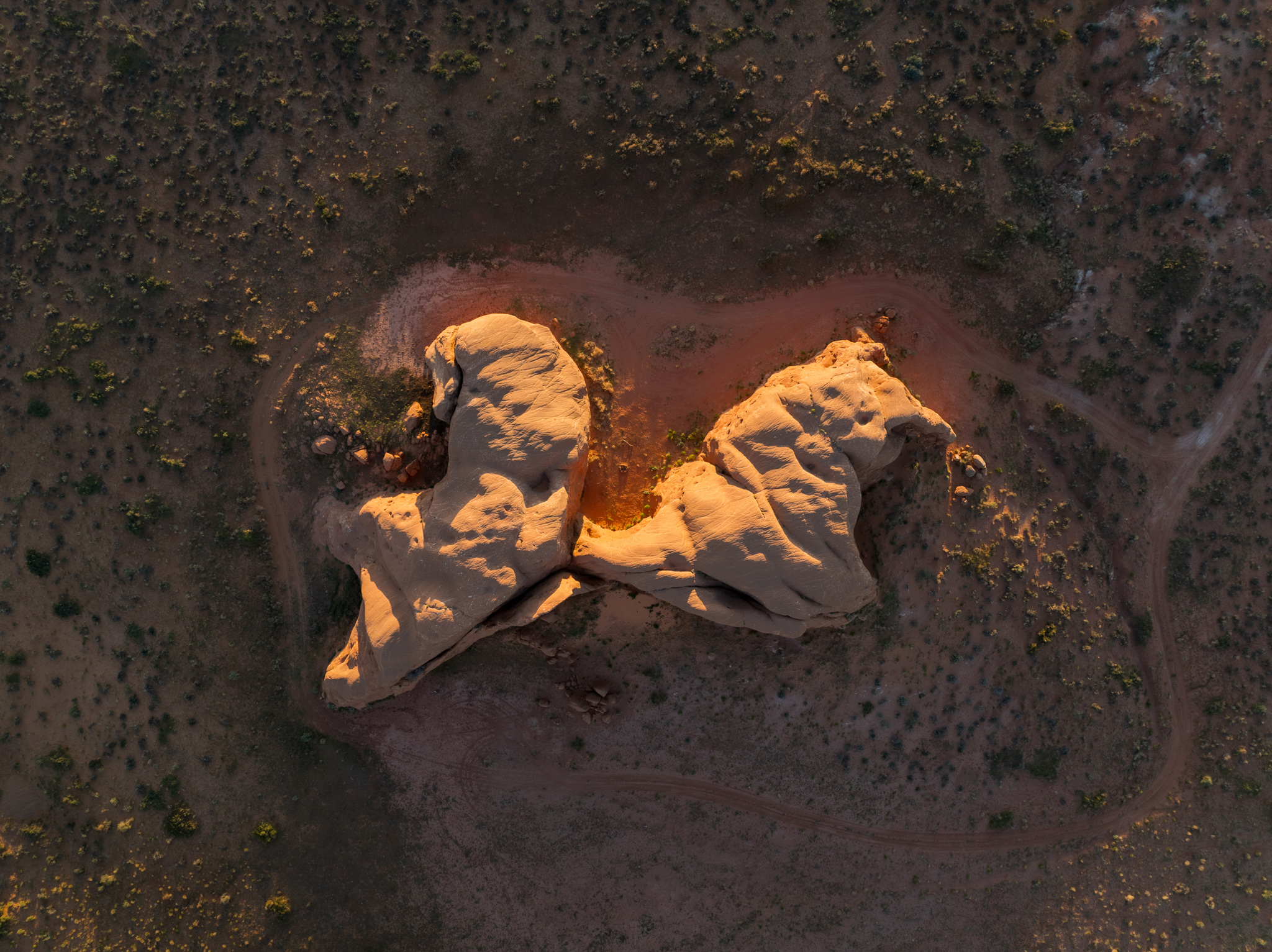 The Twin Temples Of Elefante And Rinoceronte