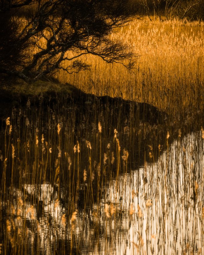 Mark Littlejohn | The Big Move | On Landscape