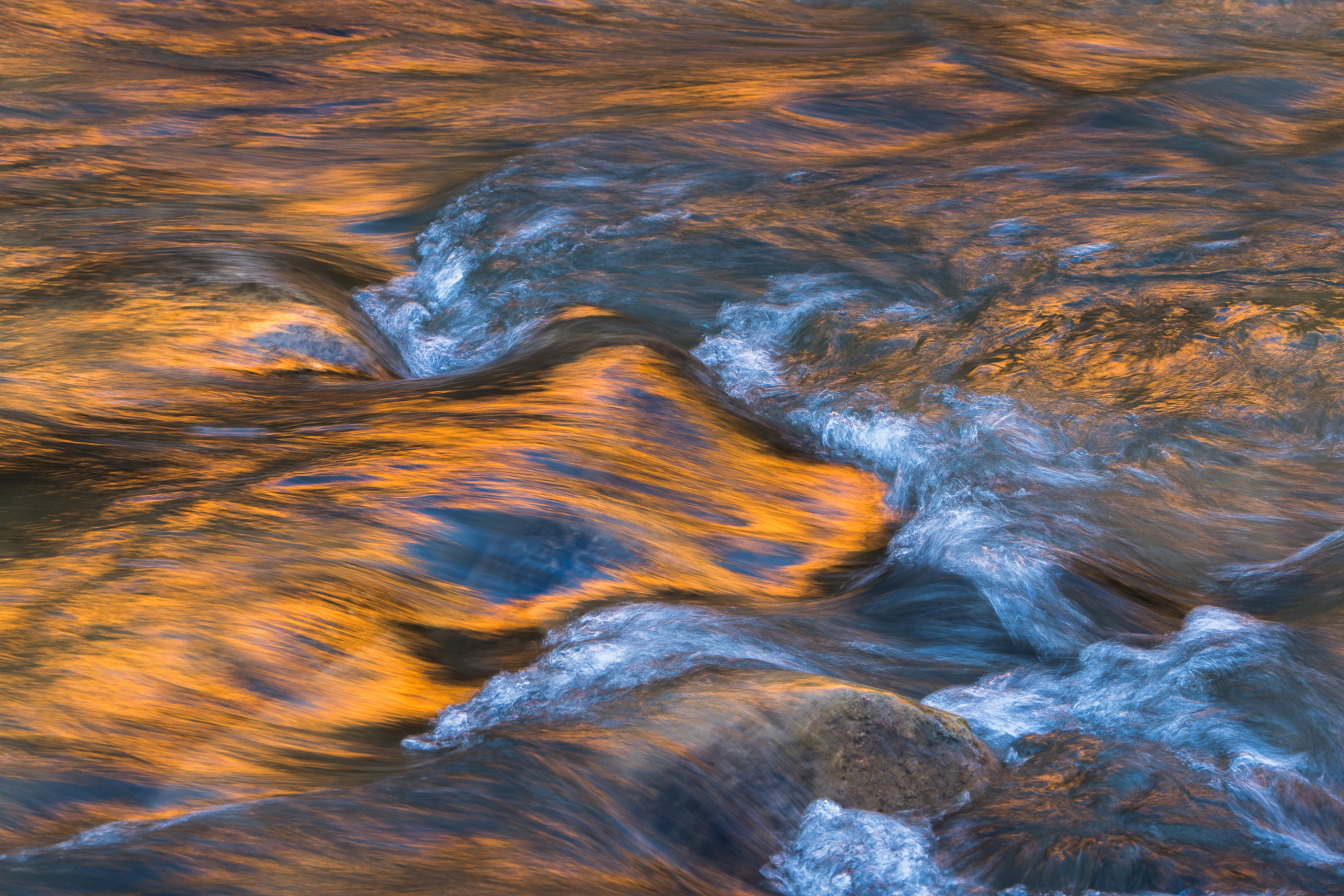 Tharp A7rv 20241119 0089