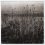 Devlin Onlandscape 13 Gravure