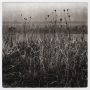 Devlin Onlandscape 13 Gravure