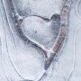 Frozen Heart