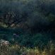 Dzika Orlica Valley 2022 Pentax 67 Fuji Velvia 50 Pziemacki 0048507029707