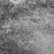 8 Moine House P(mono) 6