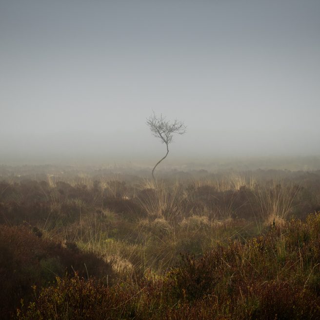 A Different View Of The Peak District 1