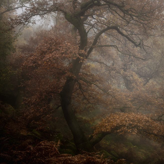 A Different View Of The Peak District 3