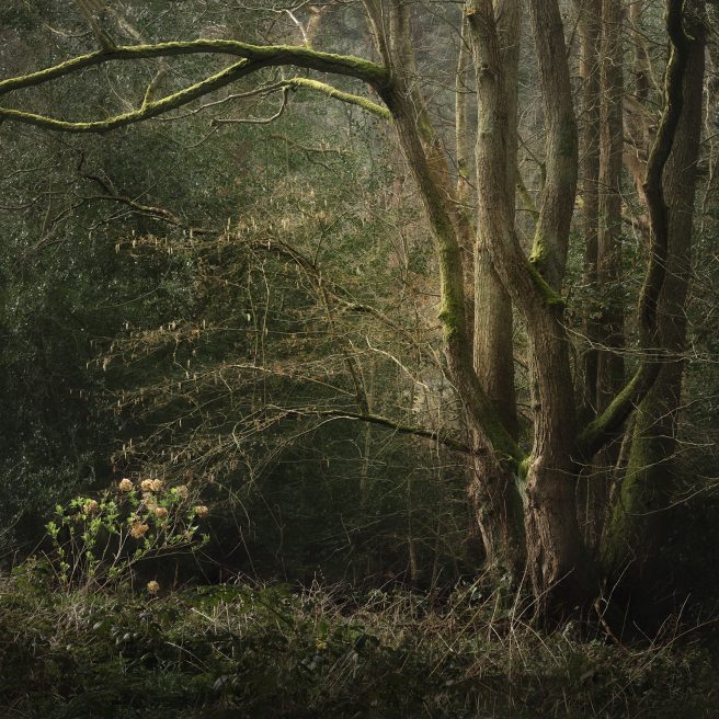 A Different View Of The Peak District 4