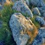 Norway Boulder And Grass