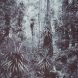 Robert Poole Pandanus, Tasmania Chrysotype