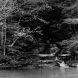 Robert Poole Six Mile Creek, Ithaca Platinum Palladium)