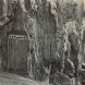 Robert Poole Three Caterpillars Rock Art, Macdonnell Ranges, Australia Chrysotype