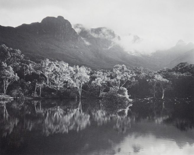 Robert Poole Warrawilla Creek, Hinchinbrook Island Platinum Palladium