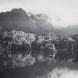 Robert Poole Warrawilla Creek, Hinchinbrook Island Platinum Palladium