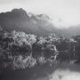 Robert Poole Warrawilla Creek, Hinchinbrook Island Platinum Palladium