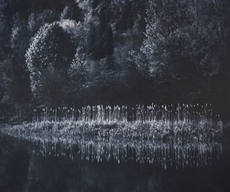 Robert Poole Last Light, Ithaca Chrysotype