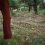 Lewis James Phillips On Landscape6