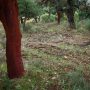 Lewis James Phillips On Landscape6