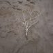 Uprooted Plant On Mud At Garden Cliff