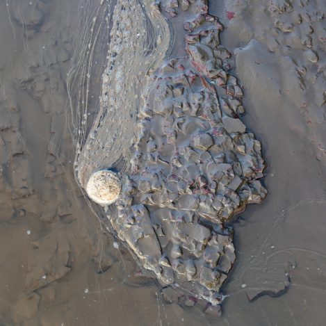 Foam Circle At Garden Cliff V