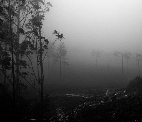 Photo:ashok Viswanathan.bombay India