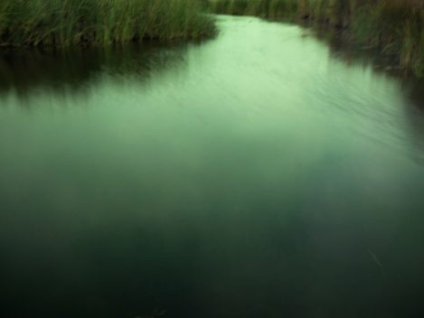 Rhine 02