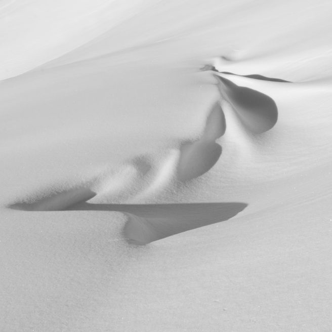 Photo By David Buchanan
