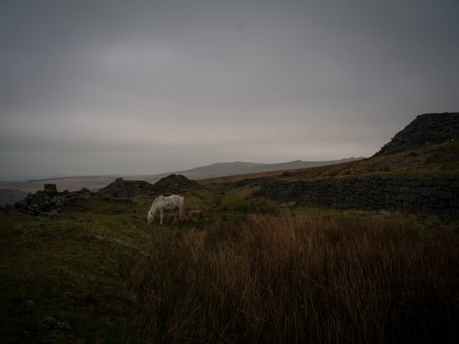 Dartmoor Sweltor Quarry 004