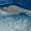 Marianthi Lainas Cromarty Firth 2048px Onlandscape Endframe