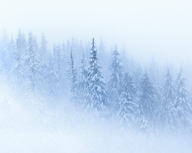 Minimalism5
